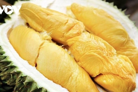 Vietnam emerges as China's largest supplier of durian in September