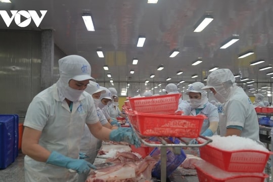 Tra fish exports set to rake in US$2 billion this year