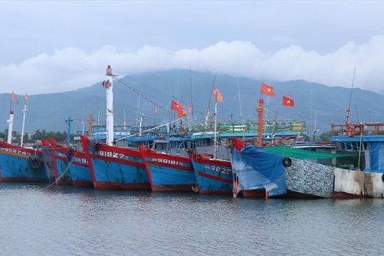 Central provinces on high alert as Typhoon Man-yi enters East Sea