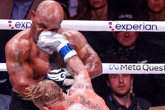 Jake Paul, kẻ hạ Mike Tyson: Con gà đẻ trứng vàng của quyền anh