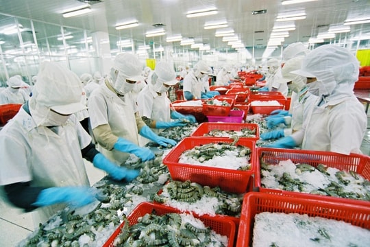 Shrimp exports likely to fetch US$4 billion this year