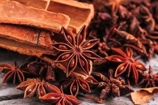 Vietnam grosses US$52.6 million from star anise exports in 10 months