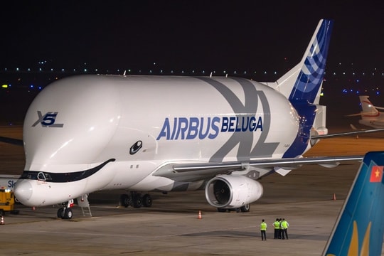 Siêu máy bay vận tải Airbus Beluga XL "cá voi trắng" lần đầu đến Việt Nam