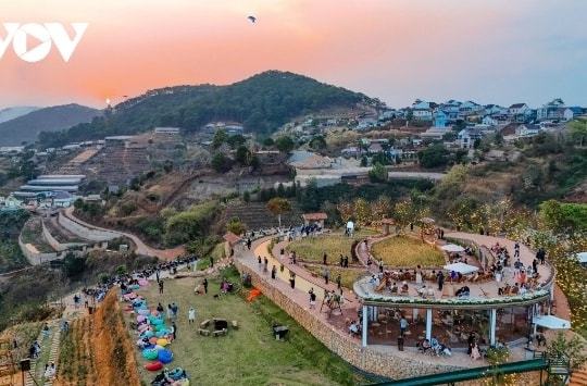 Da Lat named among cheapest destinations for end-of-year holidays in Asia