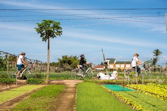 Quảng Nam to promote rural tourism at UN Tourism event