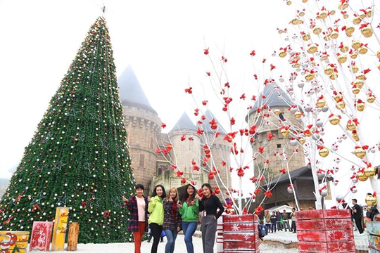 Đà Nẵng to host New Year Festival to attract tourists

