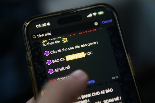Bẫy lừa từ hội nhóm Telegram và những chiêu trò dẫn lối lòng tham