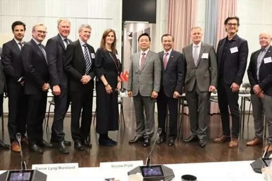 Vietnam, Denmark share vision on clean, sustainable energy