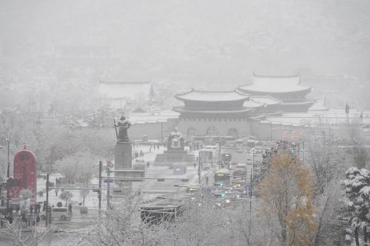 Seoul: Tuyết rơi nhiều chưa từng có trong 100 năm, đã có người thiệt mạng