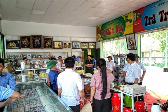 Hà Nội promotes agricultural tourism in rural development