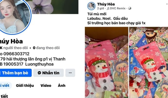 Kiểm soát hàng Tết ở sàn giao dịch giá rẻ xuyên biên giới, Facebook và TikTok