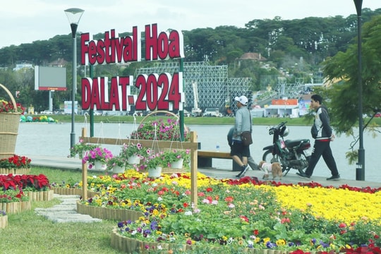 Preparation for 10th Da Lat Flower Festival nearly finished