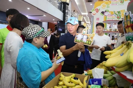 Vietnamese agricultural products leverage e-commerce to reach Chinese consumers