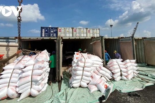 Vietnamese rice export turnover up 22.4% in 11 months