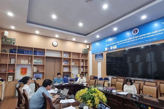 Health ministry holds emergency meeting following 4 influenza-related deaths in Bình Định