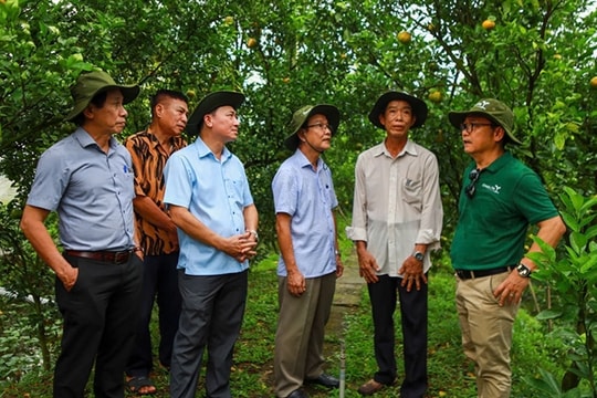 Sustainable farming practices drive positive change in Đồng Tháp agriculture