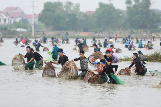 Hàng trăm người xuống ruộng bắt cá cầu may giữa trời lạnh 16 độ