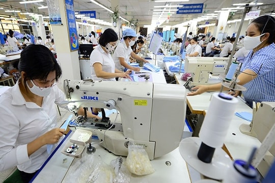 ADB forecasts Vietnamese GDP growth at 6.6% next year