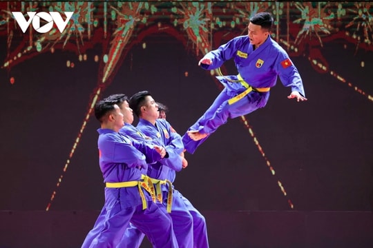 Ho Chi Minh City to host international martial arts festival