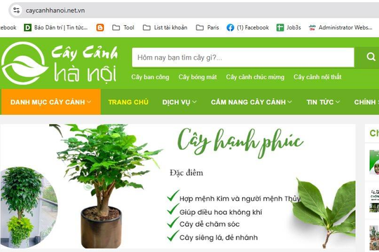 Thông cáo báo chí: Cây cảnh Hà Nội ra mắt tên miền mới caycanhhanoi.net.vn