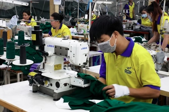 Garment industry urged to gain self-sufficiency in raw materials for UK expansion