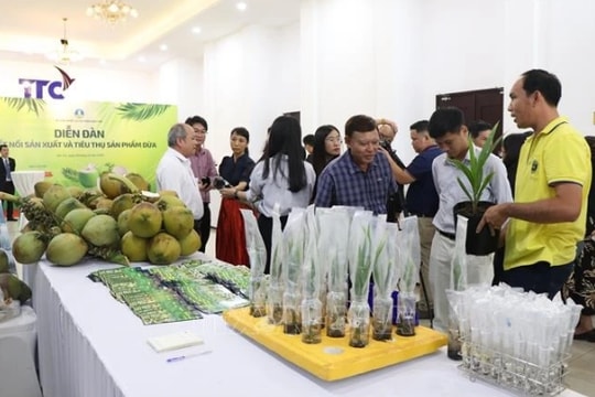 Vietnamese coconut becomes high-value export