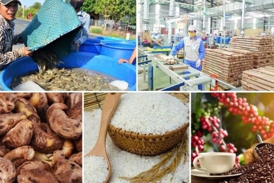 Vietnam’s agro-forestry-fishery export earnings hit record high of US$62 billion