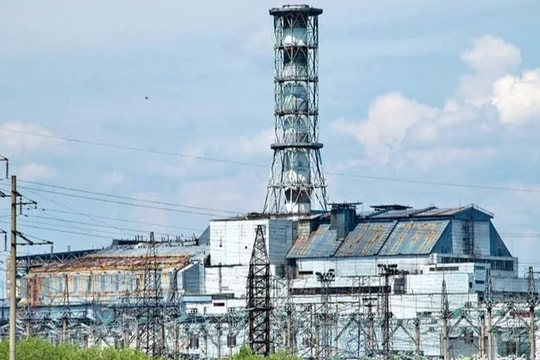 Bí ẩn Chernobyl: Loài vật thách thức phóng xạ, mở ra cánh cửa khoa học