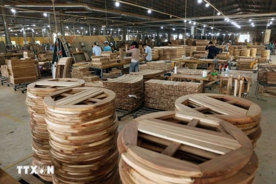 Binh Dinh province works to attract investment from Japan