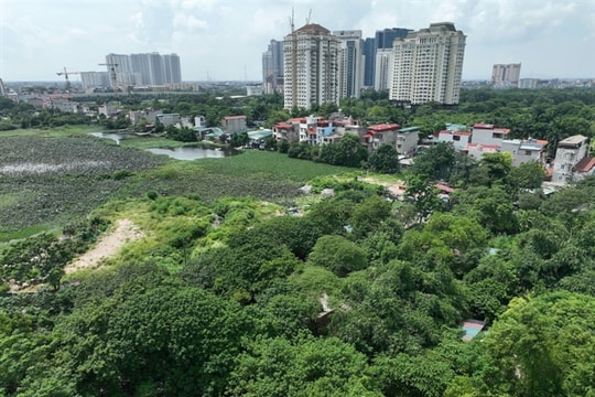 Construction of Nam Thăng Long – Trần Hưng Đạo metro to begin next year