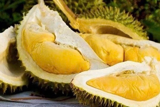 EU increases pesticide residue checks for imported Vietnamese durian