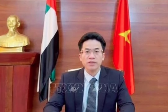 UAE a vital market of Vietnam in Middle East: Ambassador