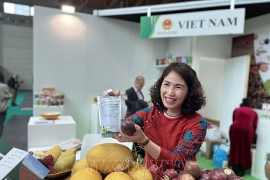 Vietnam – Italy trade cooperation promises bright prospects in 2025