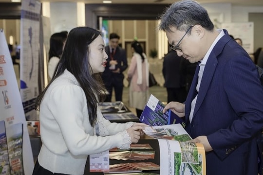 How to connect local businesses with Guangdong-Hong Kong-Macao Greater Bay Area