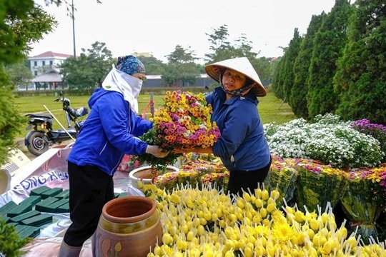 Hanoi village ready for largest flower festival in northern Vietnam