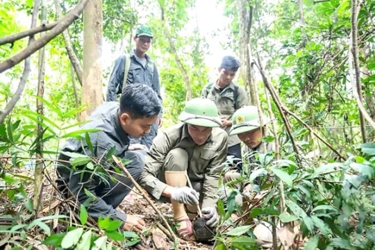 Guardians of the forest: battling poaching in Vũ Quang National Park