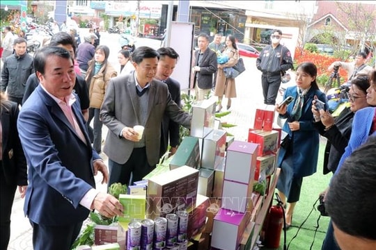 Specialty street launched in Lam Dong province