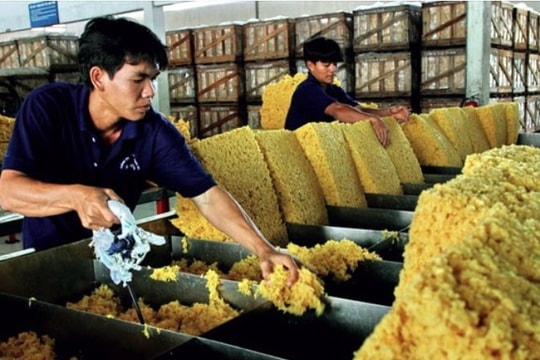 Vietnamese rubber exports to China rise in value