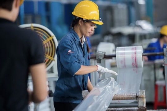 Vietnam's economy: Flexible and reasonable fiscal policy