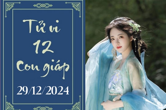 Tử vi 12 con giáp hôm nay ngày 29/12/2024: Tỵ phát triển, Ngọ khó khăn