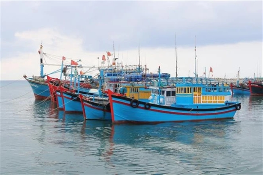 Bình Thuận steps up efforts to tackle IUU fishing