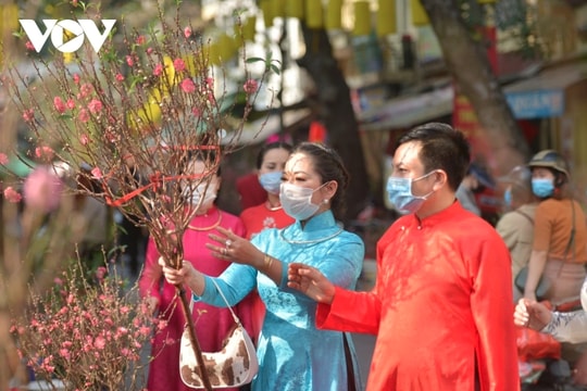 Hanoi gears up to open 70 spring flower markets ahead of Tet