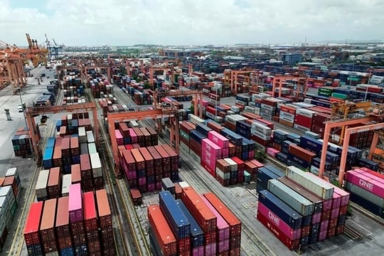 Logistics firms optimistic about growth prospects in 2025: Survey