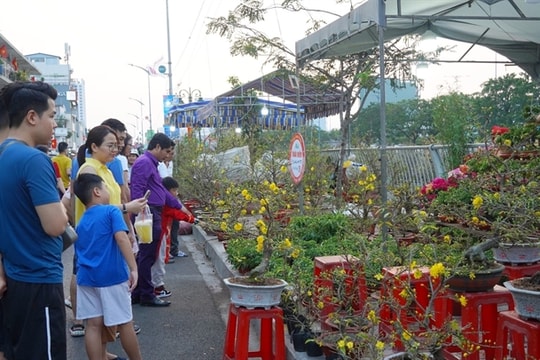 HCM City to host flower fairs to celebrate Tết