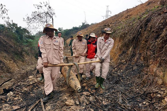 Over-220kg bomb with intact fuse safely handled in Quảng Bình