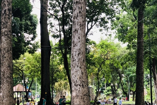 HCM City strives to have one square metre of green space per capita by 2030