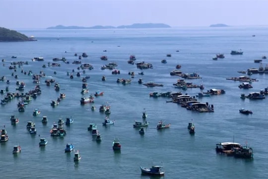 Mekong Delta provinces modernise fishing boats, protect fisheries resources