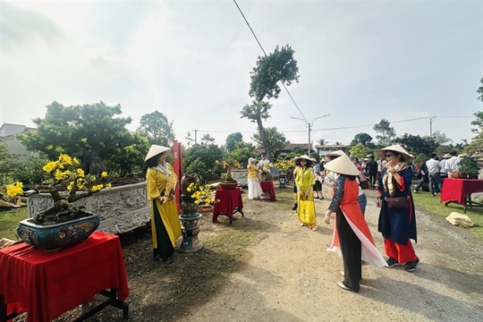 New Mekong Delta flower, ornamental plant festival opens
