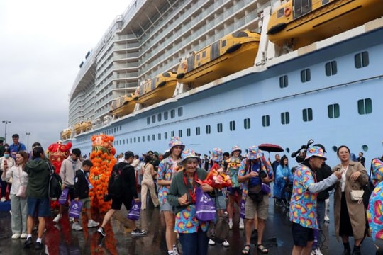 Huế welcomes over 4,400 foreign visitors on first cruise ship of 2025