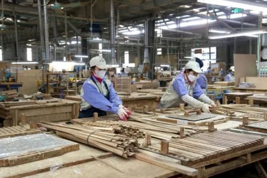 Labour productivity growth essential to boosting economic performance: experts